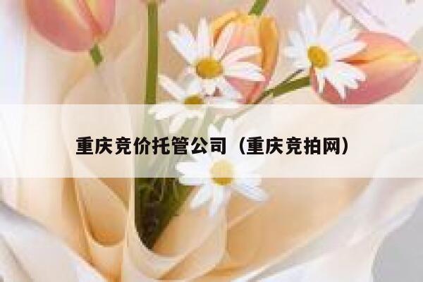 重庆竞价托管公司（重庆竞拍网）