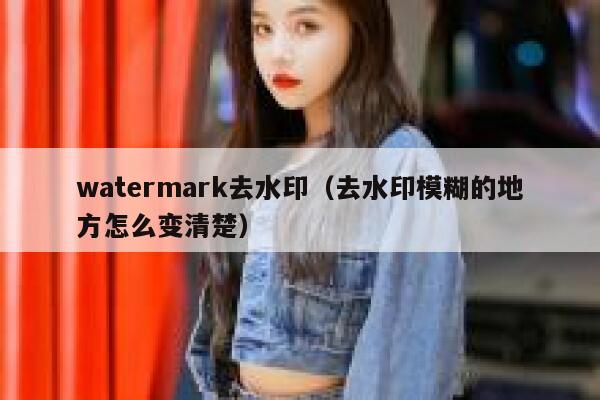 watermark去水印（去水印模糊的地方怎么变清楚）