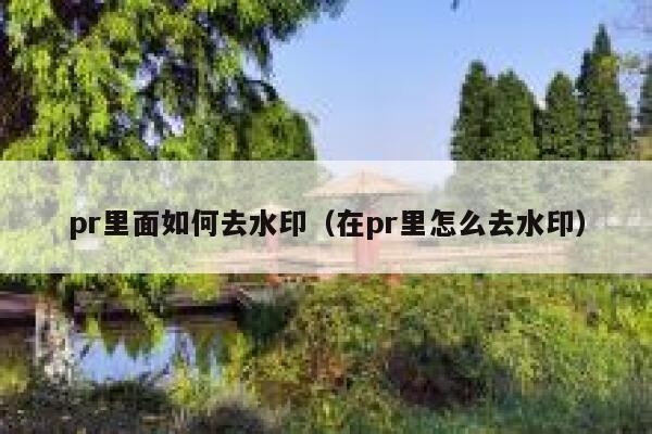 pr里面如何去水印（在pr里怎么去水印）