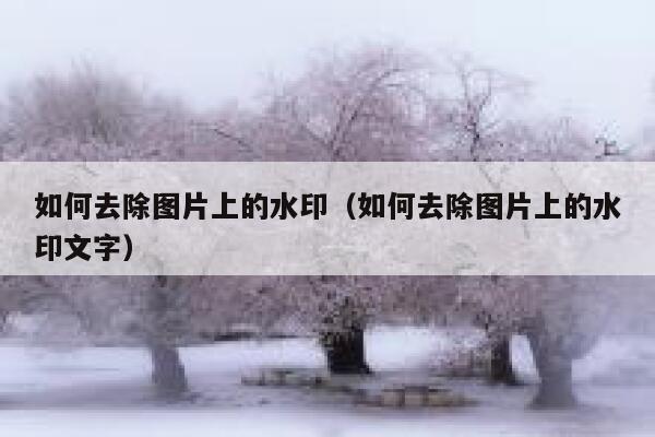 如何去除图片上的水印（如何去除图片上的水印文字）