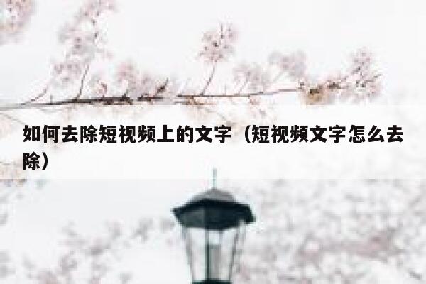 如何去除短视频上的文字（短视频文字怎么去除）