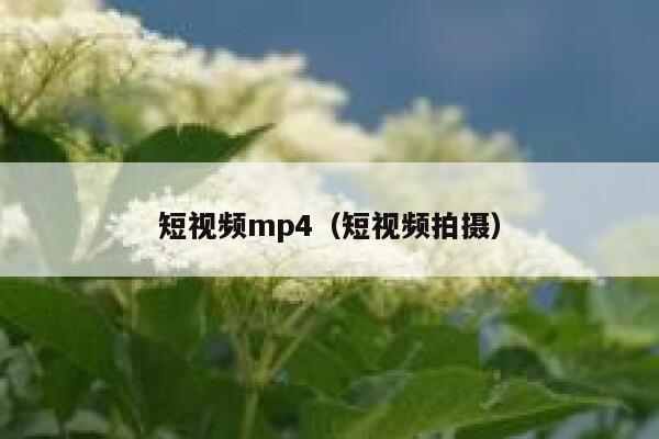 短视频mp4（短视频拍摄）