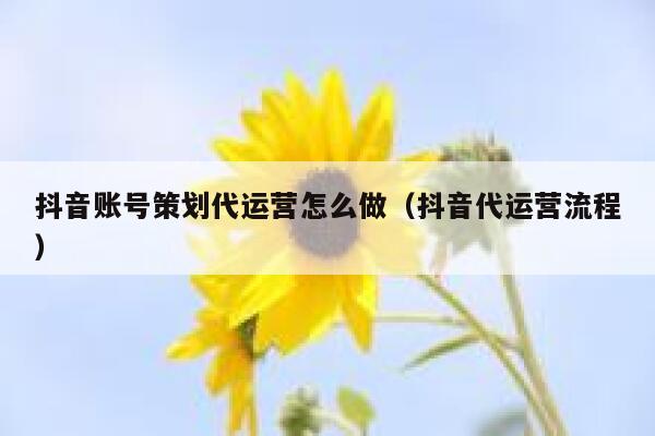 抖音账号策划代运营怎么做（抖音代运营流程）