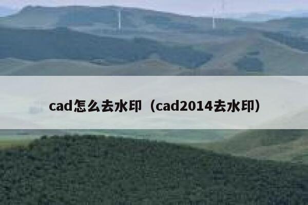 cad怎么去水印（cad2014去水印）