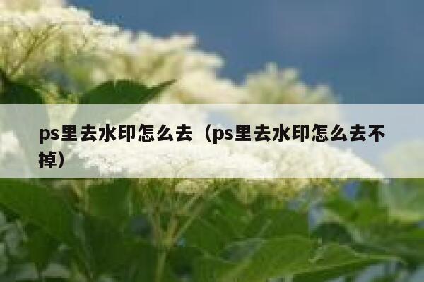 ps里去水印怎么去（ps里去水印怎么去不掉）