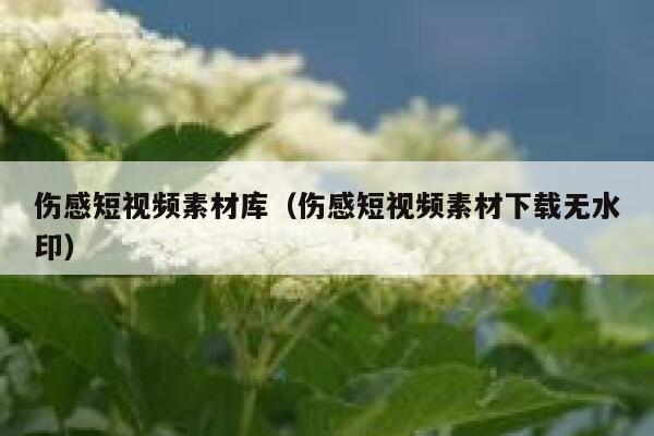 伤感短视频素材库（伤感短视频素材下载无水印）