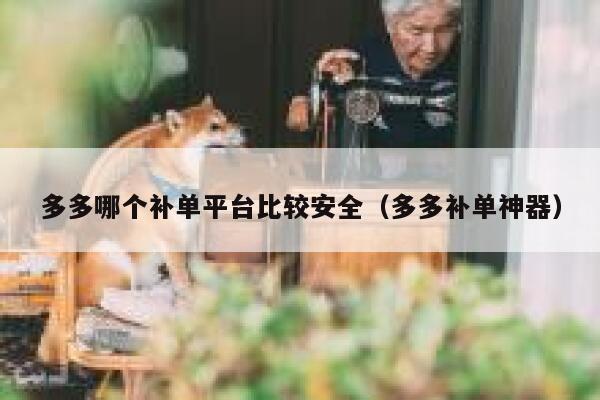 多多哪个补单平台比较安全（多多补单神器）