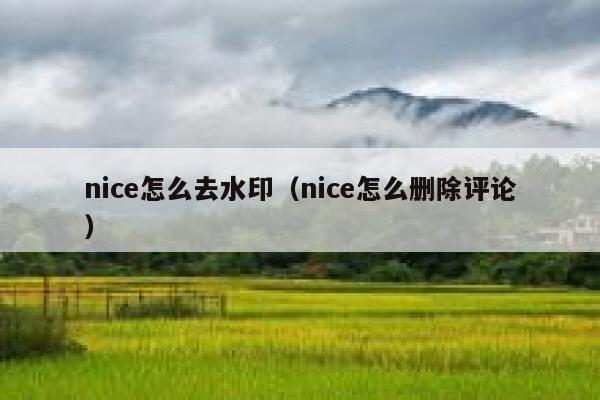 nice怎么去水印（nice怎么删除评论）