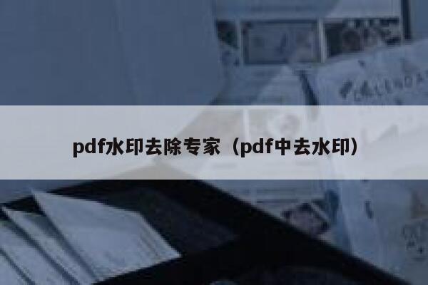 pdf水印去除专家（pdf中去水印）