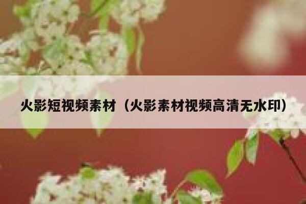 火影短视频素材（火影素材视频高清无水印）