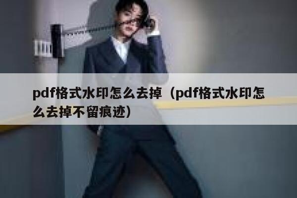 pdf格式水印怎么去掉（pdf格式水印怎么去掉不留痕迹）