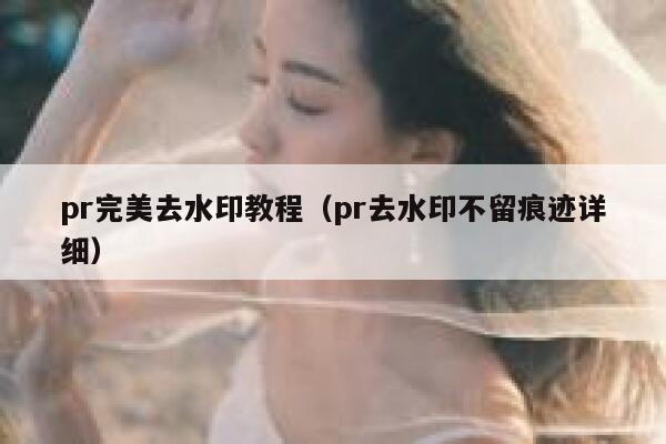 pr完美去水印教程（pr去水印不留痕迹详细）