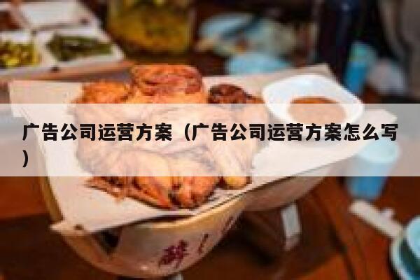 广告公司运营方案（广告公司运营方案怎么写）