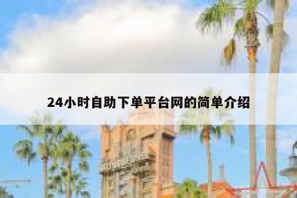 24小时自助下单平台网的简单介绍