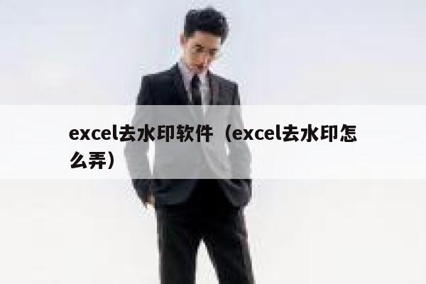 excel去水印软件（excel去水印怎么弄）