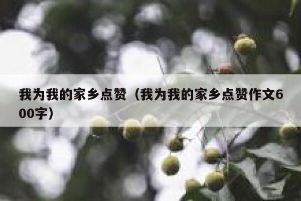 我为我的家乡点赞（我为我的家乡点赞作文600字）