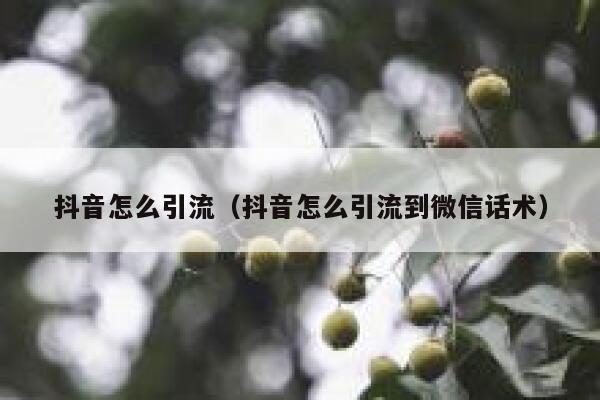 抖音怎么引流（抖音怎么引流到微信话术）