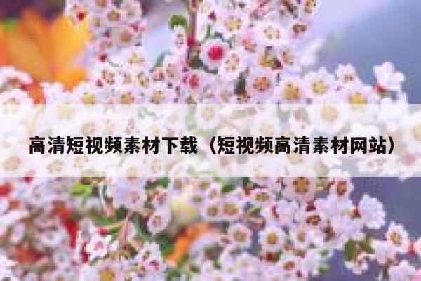 高清短视频素材下载（短视频高清素材网站）