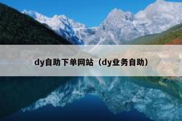 dy自助下单网站（dy业务自助）