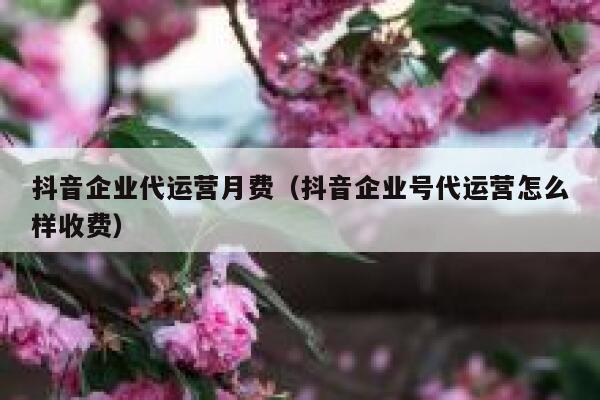 抖音企业代运营月费（抖音企业号代运营怎么样收费）