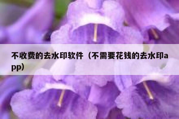 不收费的去水印软件（不需要花钱的去水印app）