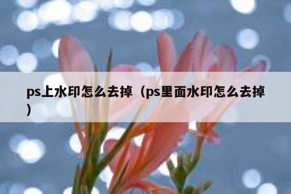 ps上水印怎么去掉（ps里面水印怎么去掉）