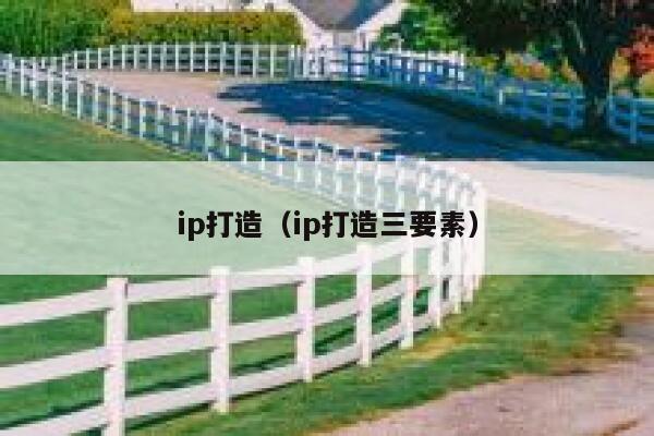 ip打造（ip打造三要素）