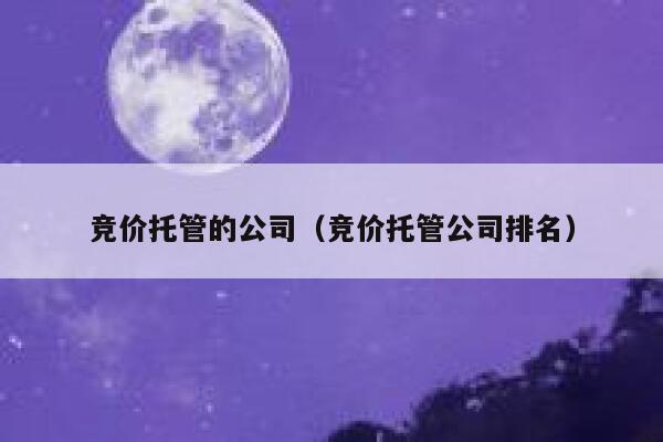 竞价托管的公司（竞价托管公司排名）