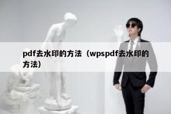 pdf去水印的方法（wpspdf去水印的方法）