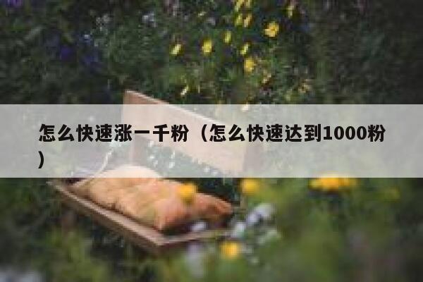 怎么快速涨一千粉（怎么快速达到1000粉）