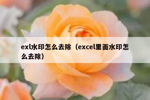 exl水印怎么去除（excel里面水印怎么去除）