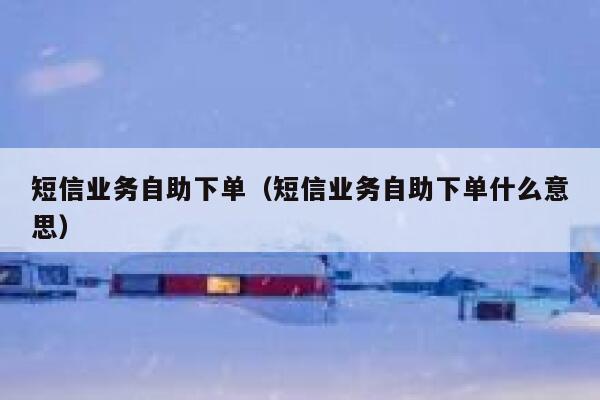 短信业务自助下单（短信业务自助下单什么意思）