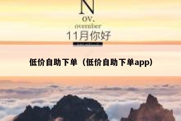 低价自助下单（低价自助下单app）