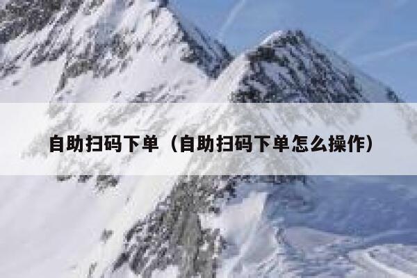 自助扫码下单（自助扫码下单怎么操作）