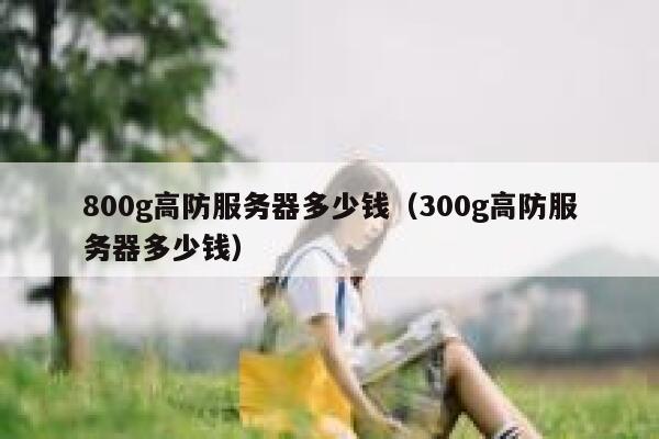 800g高防服务器多少钱（300g高防服务器多少钱）