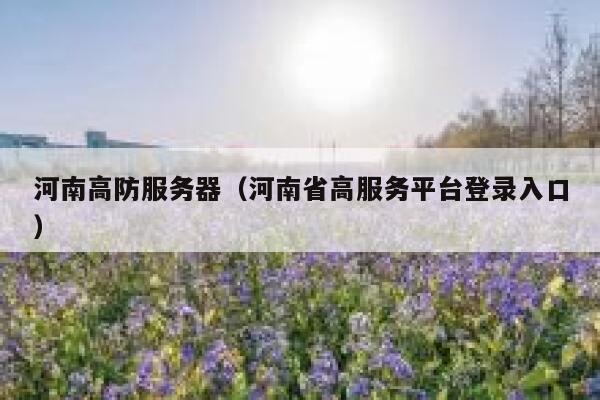 河南高防服务器（河南省高服务平台登录入口）