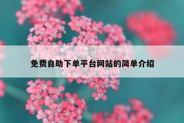 免费自助下单平台网站的简单介绍