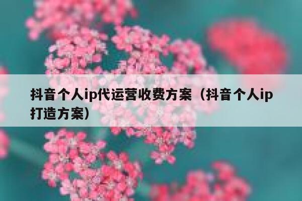 抖音个人ip代运营收费方案（抖音个人ip打造方案）