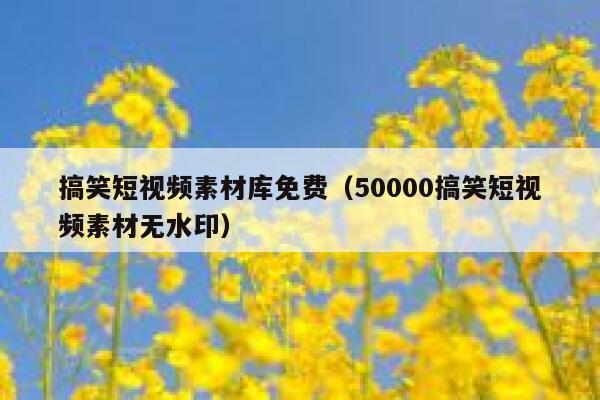 搞笑短视频素材库免费（50000搞笑短视频素材无水印）