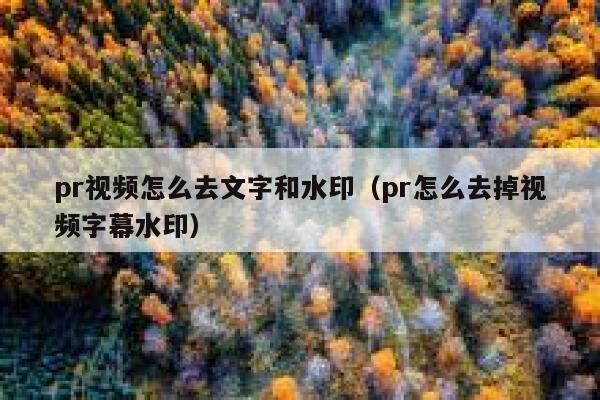 pr视频怎么去文字和水印（pr怎么去掉视频字幕水印）