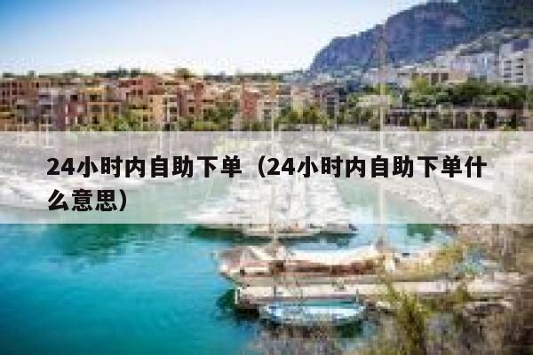 24小时内自助下单（24小时内自助下单什么意思）