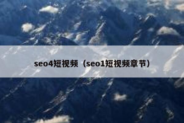 seo4短视频（seo1短视频章节）