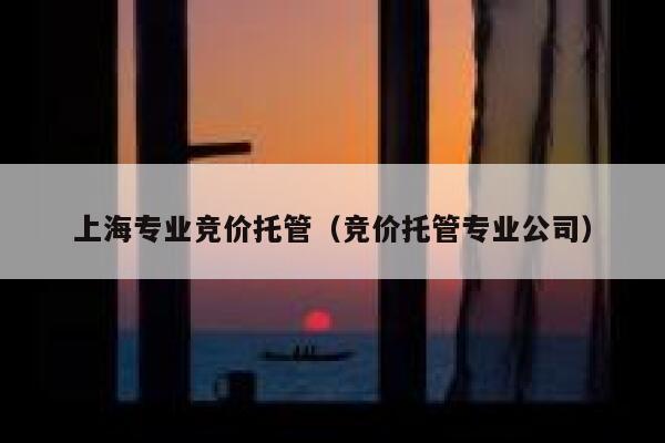 上海专业竞价托管（竞价托管专业公司）