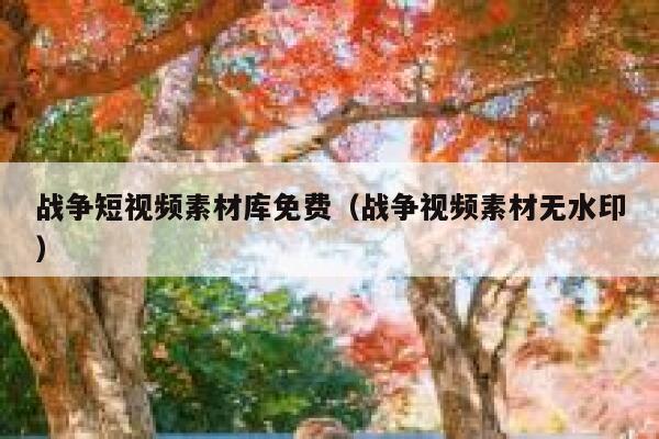 战争短视频素材库免费（战争视频素材无水印）