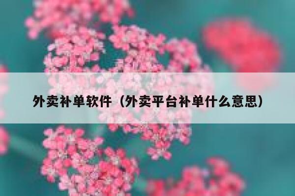 外卖补单软件（外卖平台补单什么意思）