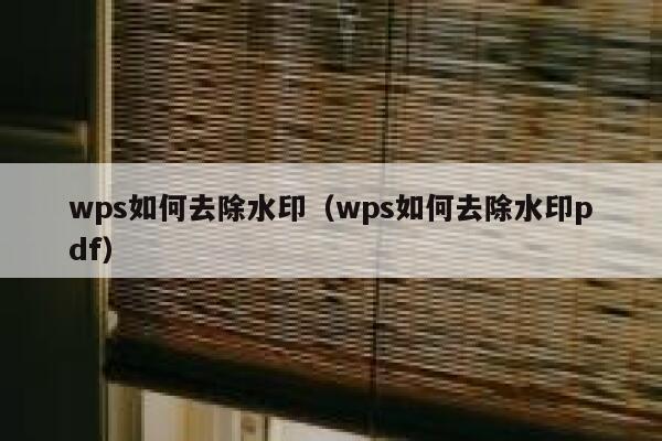 wps如何去除水印（wps如何去除水印pdf）