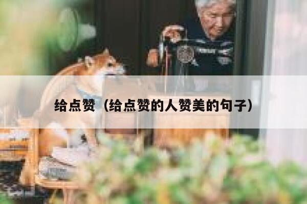 给点赞（给点赞的人赞美的句子）