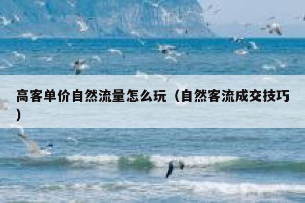 高客单价自然流量怎么玩（自然客流成交技巧）