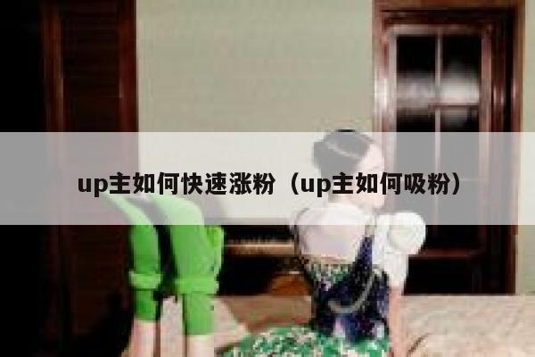 up主如何快速涨粉（up主如何吸粉）