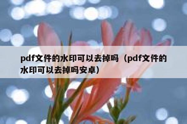 pdf文件的水印可以去掉吗（pdf文件的水印可以去掉吗安卓）